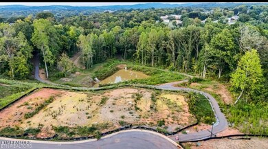 1732 Bennett Village Dr, Maryville, TN 37804 - photo 4