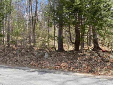 Map 11l-50-6 Beard Rd, Hillsboro, NH 03244 - photo 2