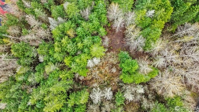 123 Highland Dr E, Roy, WA 98580 - photo 7