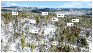 L89 Highview Ln unit Lot 5, Wevertown, NY 12886 - photo 6