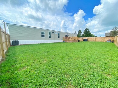Backyard(1)