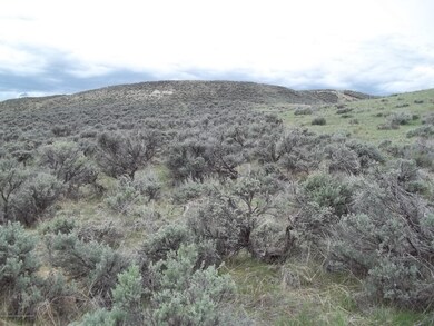 Tbd Behrman Rd, Craig, CO 81625 - photo 6