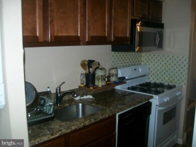 11216 Chestnut Grove Square unit 11216-, Reston, VA 20190 - photo 2
