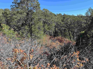 0 Wilde St, Timberon, NM 88350 - photo 3