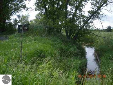 0 E Huron Rd unit 1763959, Omer, MI 48749 - photo 7