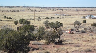 Scrub Trees
