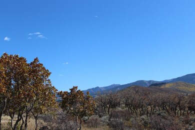 IMG_0737