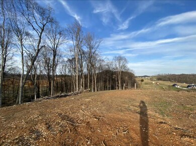 Screen Shot 2020-03-03 at 7.50.57 AM