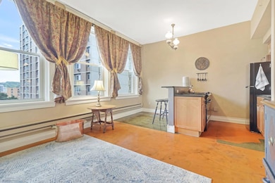 488 Wabasha St N unit 606, Saint Paul, MN 55102 - photo 3