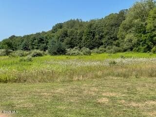 Lot 11 Dry Hollow Rd, Warriors Mark, PA - photo 2