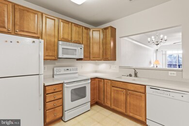 8615 Fluttering Leaf Trail unit 404, Odenton, MD 21113 - photo 6