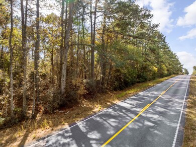 000 Hwy 11, Moselle, MS 39459 - photo 5