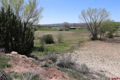 2606 Fairway Dr, Cortez, CO 81321 - photo 7