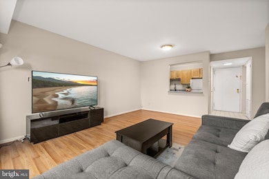 3100 S Manchester St unit 813, Falls Church, VA 22044 - photo 5