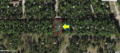 2811 Kerry St, Inverness, FL 34452 - photo 2