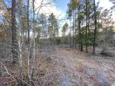 TBD 3.7 Acre Wilderness Ln, Loris, SC 29569 - photo 5