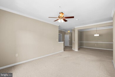 2604 Clarion Ct unit 302, Odenton, MD 21113 - photo 5