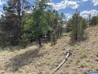 78 Lot Everest Point unit Lot  78, Silver City, NM 88061 - photo 2