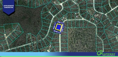 0 Nevada Dr unit 25668070, Alford, FL 32420 - photo 5