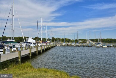 313 Cedar Ln, Annapolis, MD 21403 - photo 3