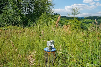 1830 Hazel Dell Rd unit Lot 3, Castle Rock, WA 98611 - photo 6