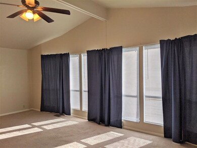 Living Room windows