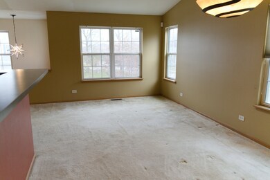 1203 Brookdale Dr, Carpentersville, IL 60110 - photo 6