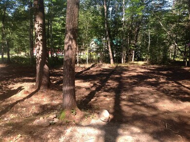 0 Birchwood Farm Rd, Freedom, NH 03836 - photo 2