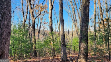 0 Meadowlands Dr unit 10535692, Talking Rock, GA 30175 - photo 3