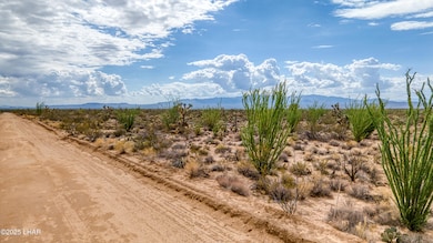 1-print-3607 Kit Carson-01