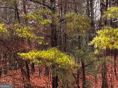 0 Talona Rd unit 10652283, Ellijay, GA 30540 - photo 2