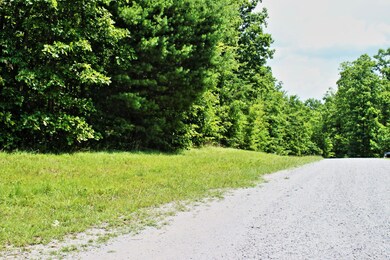 Lot 88