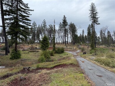 1037 Thomasson Ln, Paradise, CA 95969 - photo 2