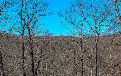 Additional View
