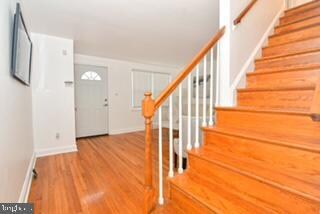 566 Lucia Ave, Baltimore, MD 21229 - photo 6