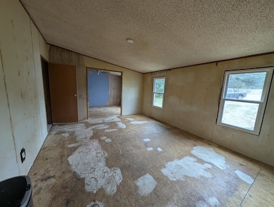 7231 Old Cox Pike, Fairview, TN 37062 - photo 6