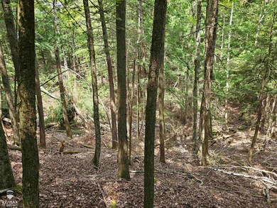 0 Spile Dam Rd unit 50182643, Millersburg, MI 49759 - photo 7