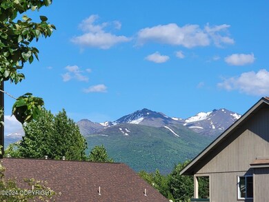 IMG_4709