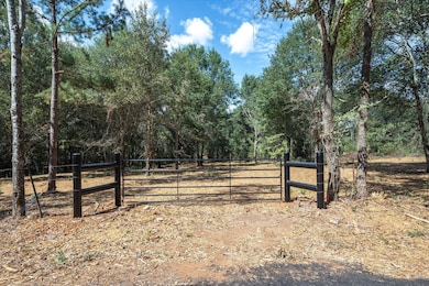 00 Hwy 69 Cr 484, Mineola, TX 75773 - photo 4