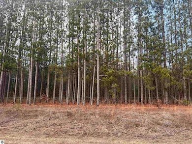 2214 E 56th St, Chase, MI 49623 - photo 5