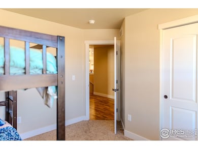 1111 Bison Way, Wiggins, CO 80654 - photo 6