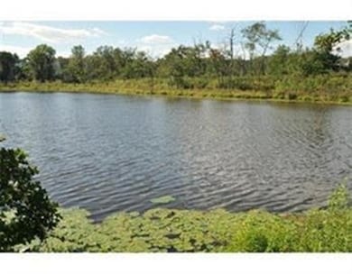 40 Cochituate Rd unit 40, Framingham, MA 01701 - photo 2