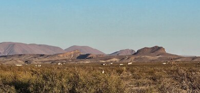 598 Starhaven Ln, Terlingua, TX 79830 - photo 4