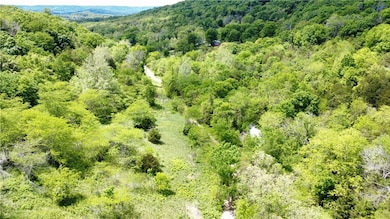 642 County Road 605, Green Forest, AR 72638 - photo 5