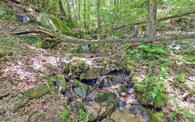 Additional View