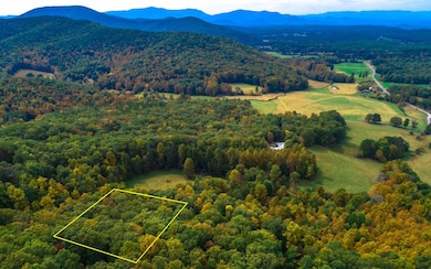 1251 Picklesimer Mountain Trail, Morganton, GA 30560 - photo 3