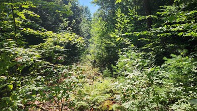 TBD1 Valley Rd, New Durham, NH 03855 - photo 4