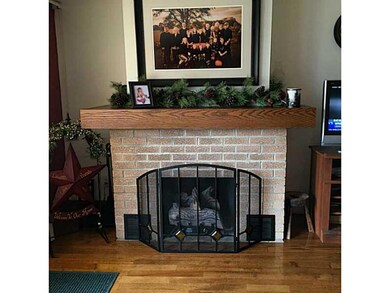 Other. Gas Log Fireplace