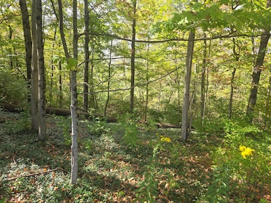 0 Beecher Crossing, Gahanna, OH 43230 - photo 3