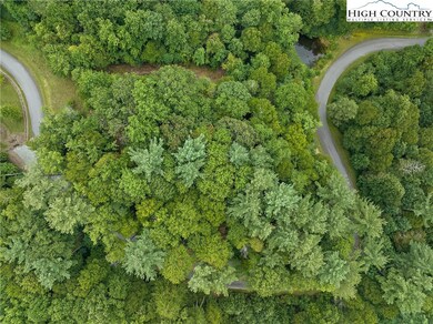 Lot L3 Woodlake Loop Rd, Elk Park, NC 28604 - photo 7